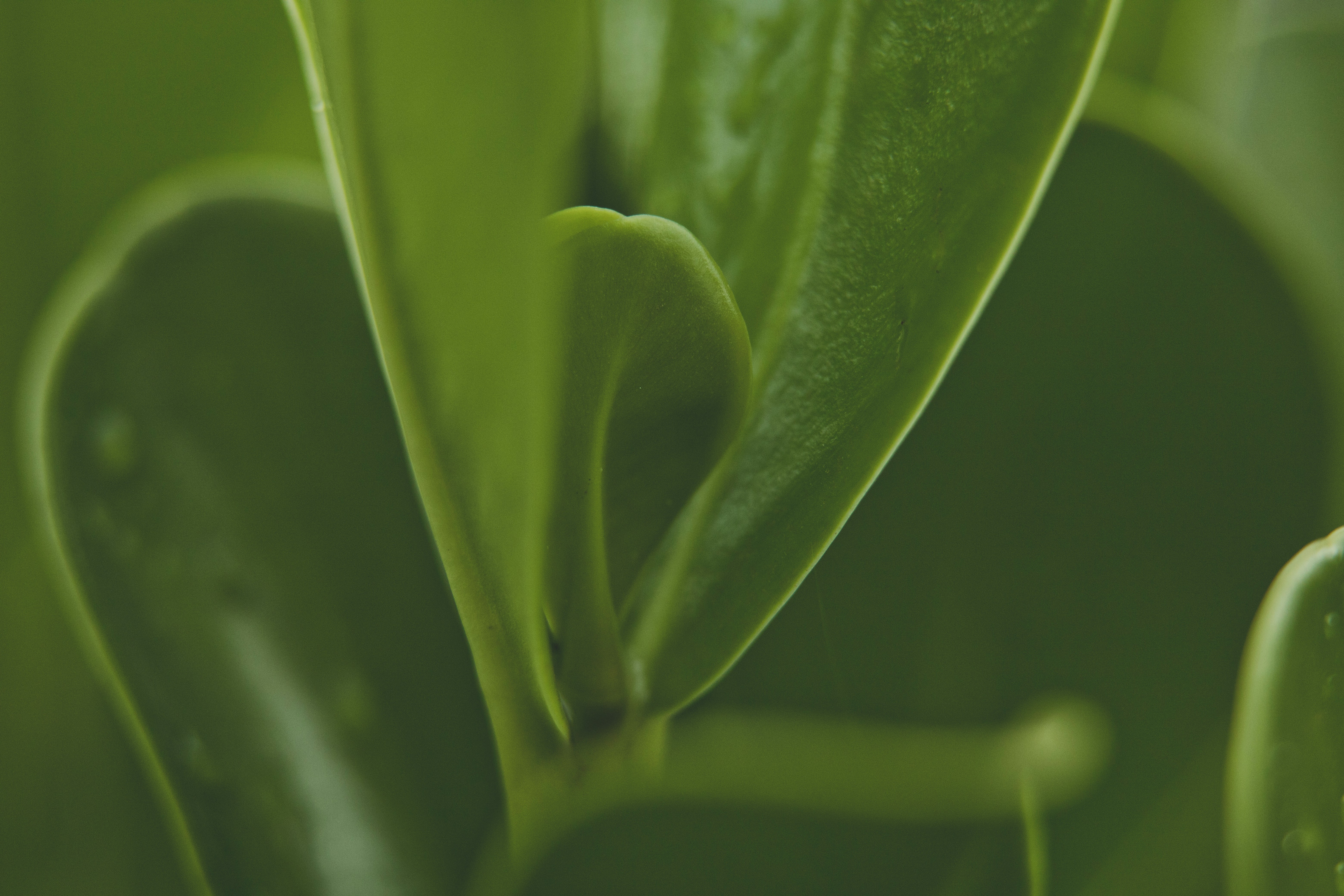 Photo by rrodriguesim