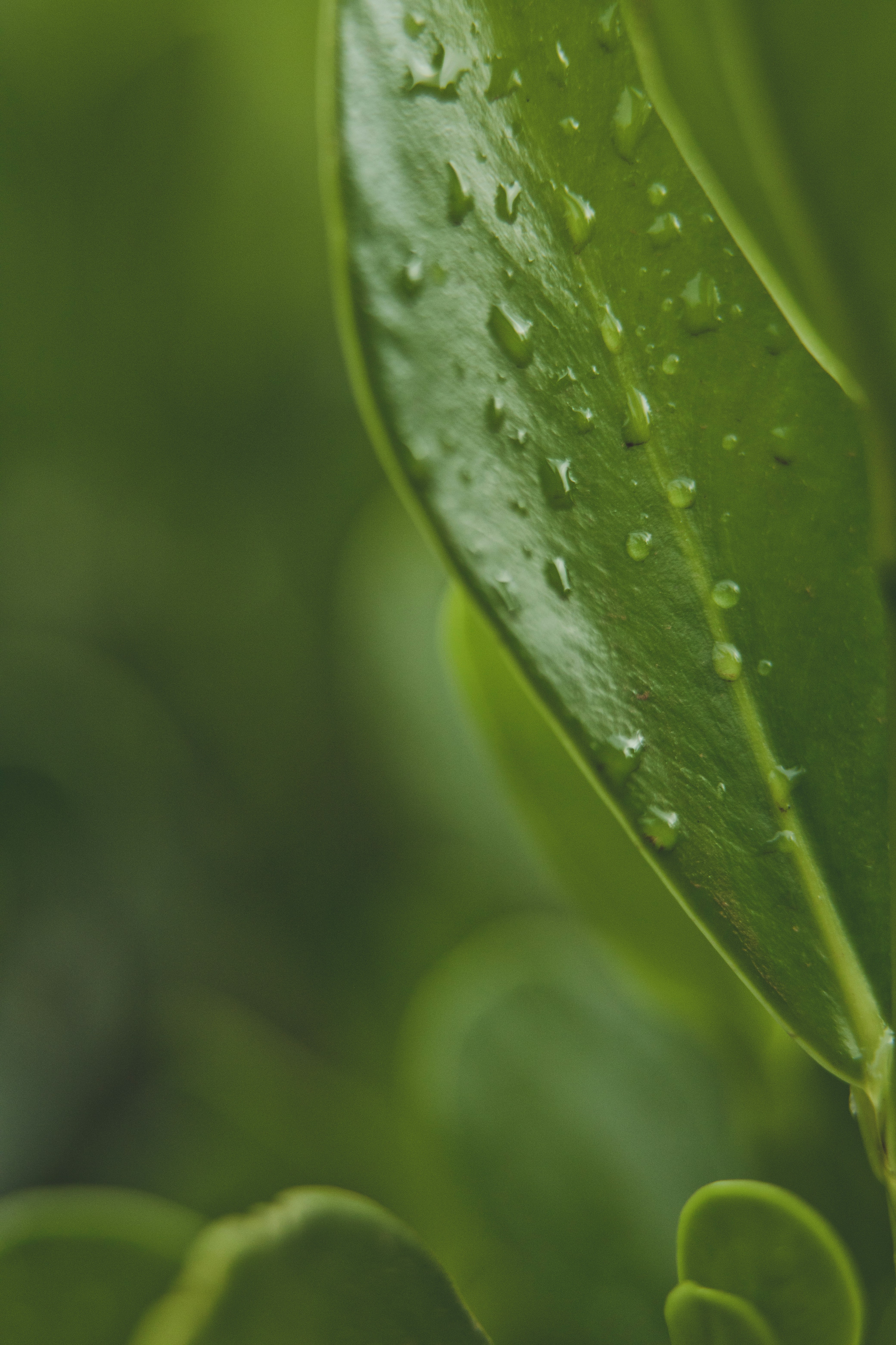 Photo by rrodriguesim