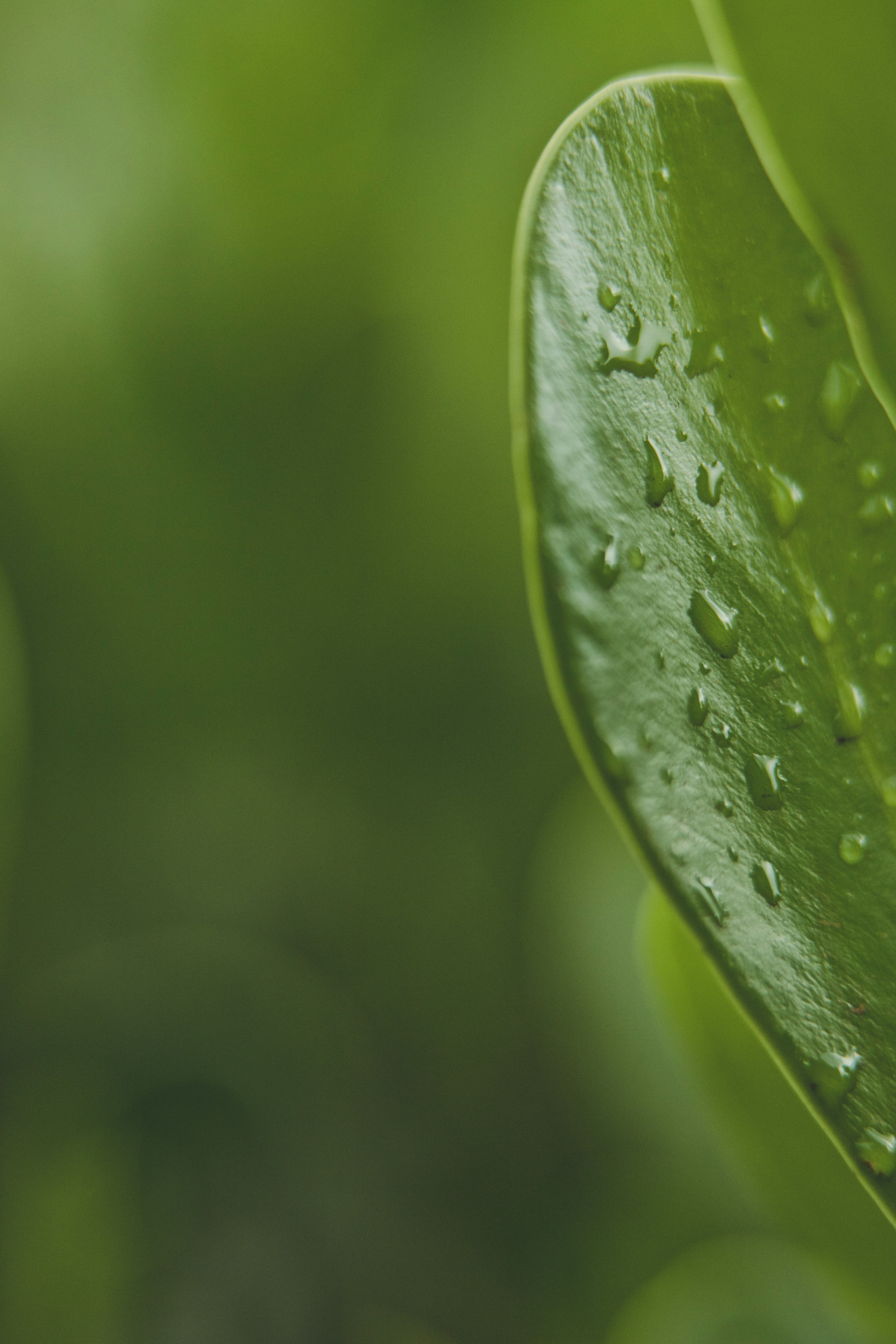 Photo by rrodriguesim