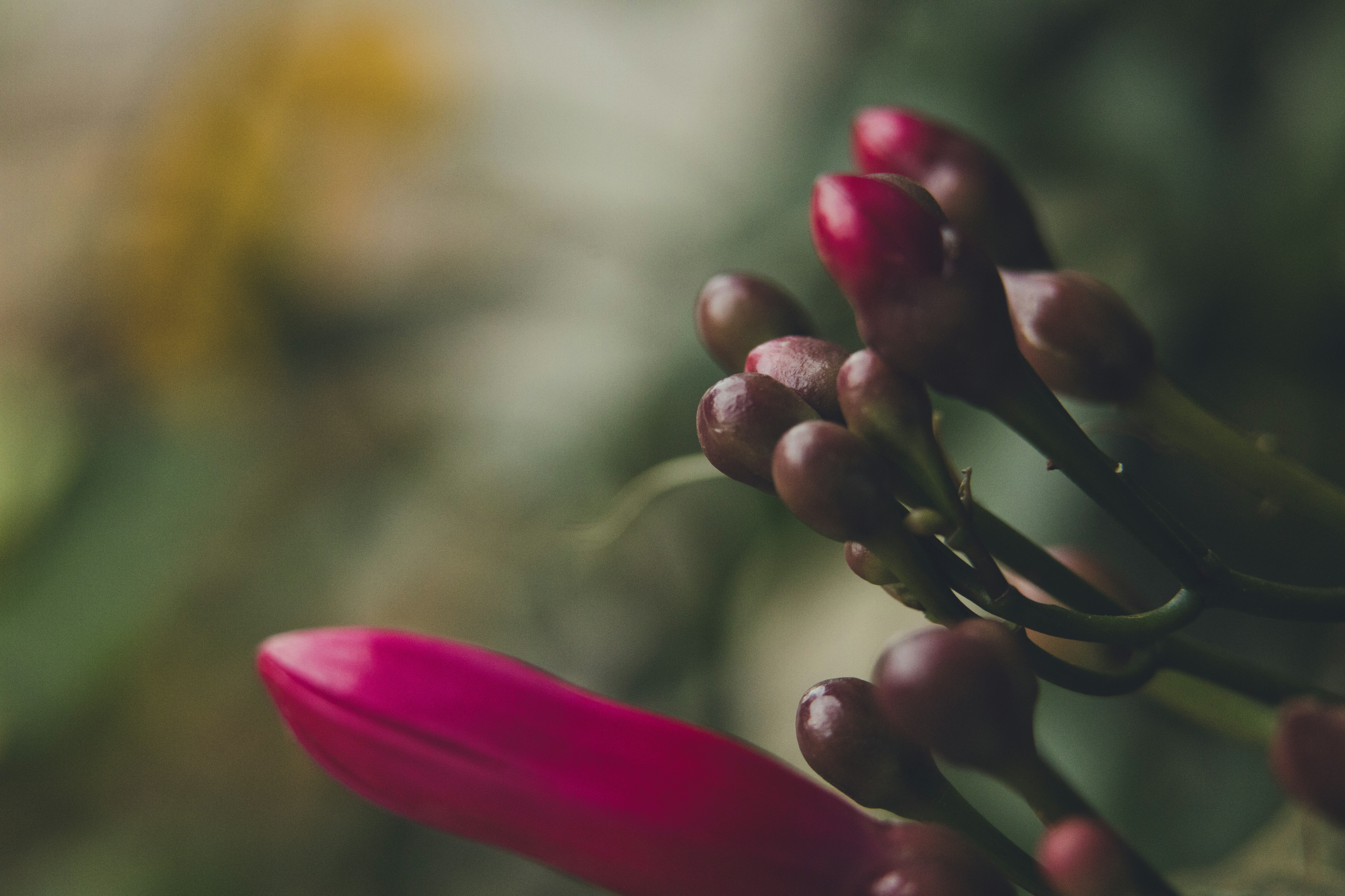 Photo by rrodriguesim