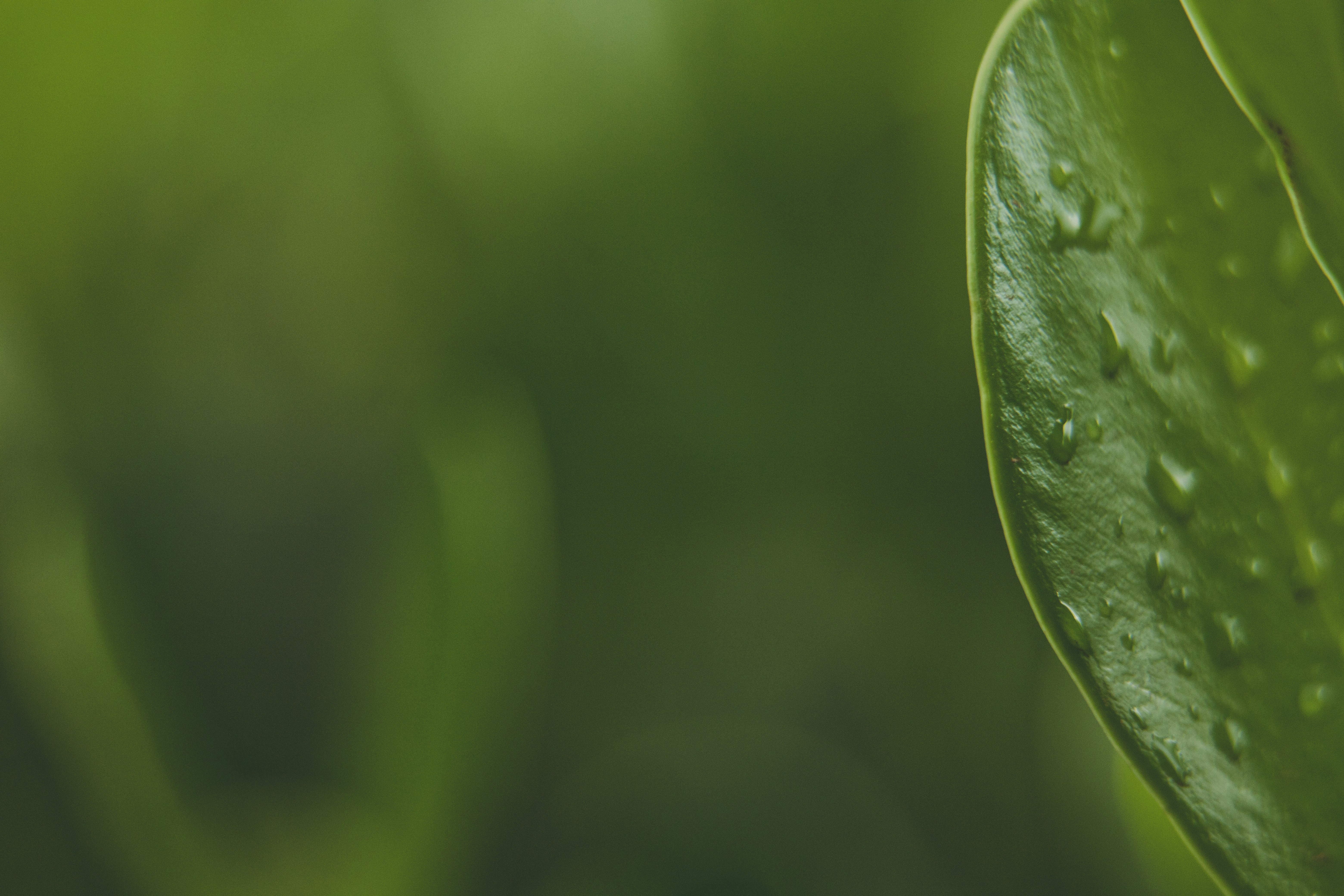 Photo by rrodriguesim