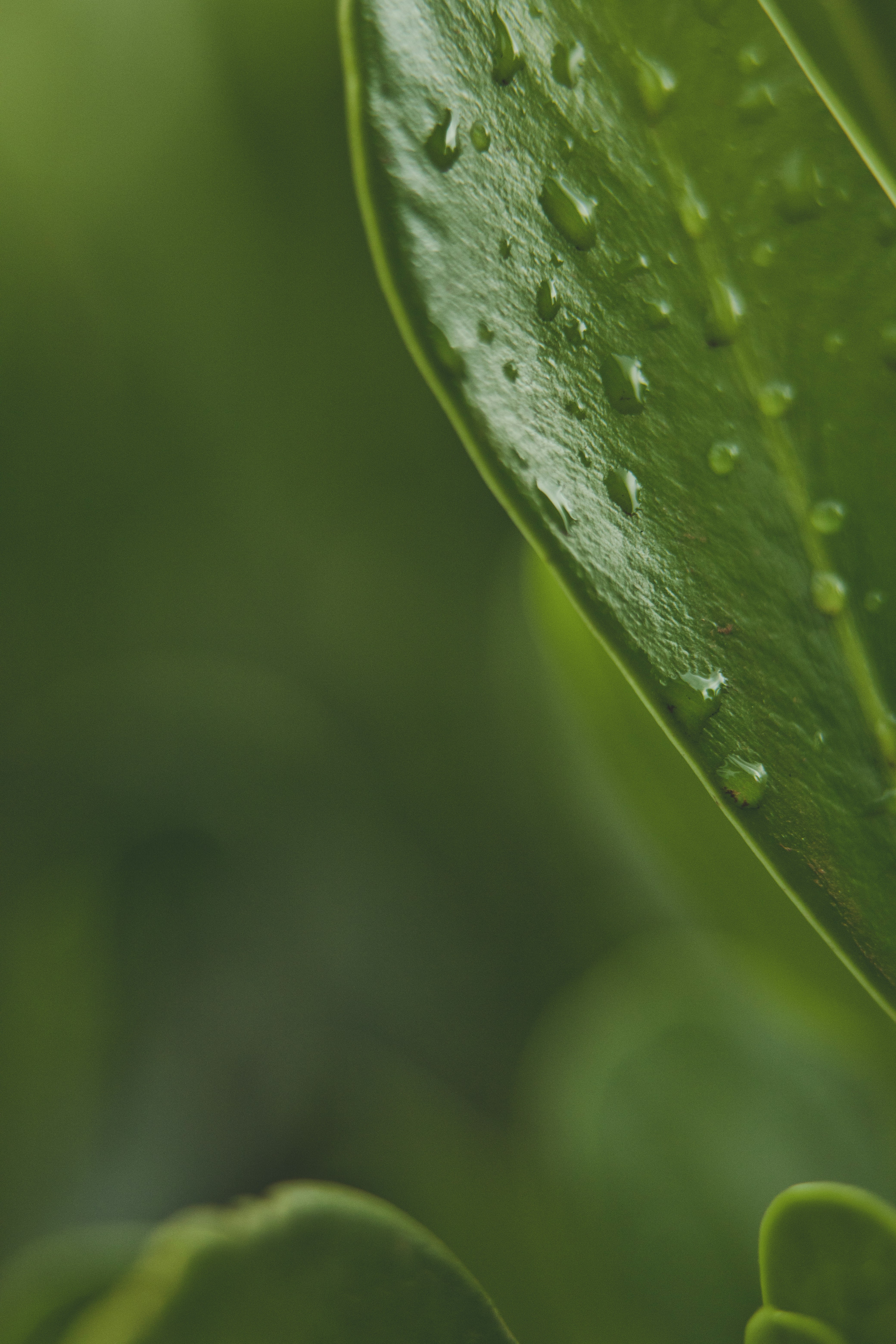 Photo by rrodriguesim