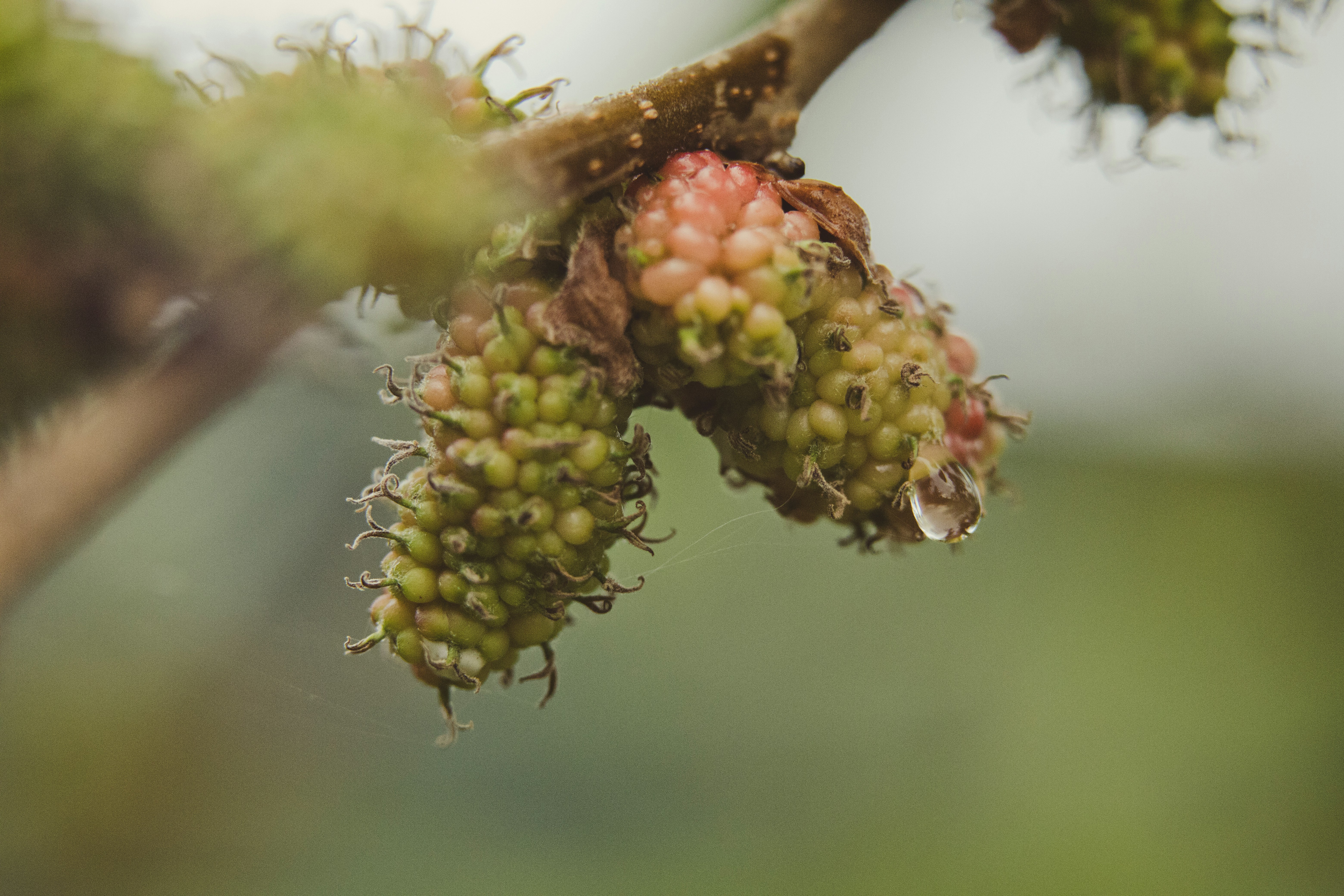 Photo by rrodriguesim