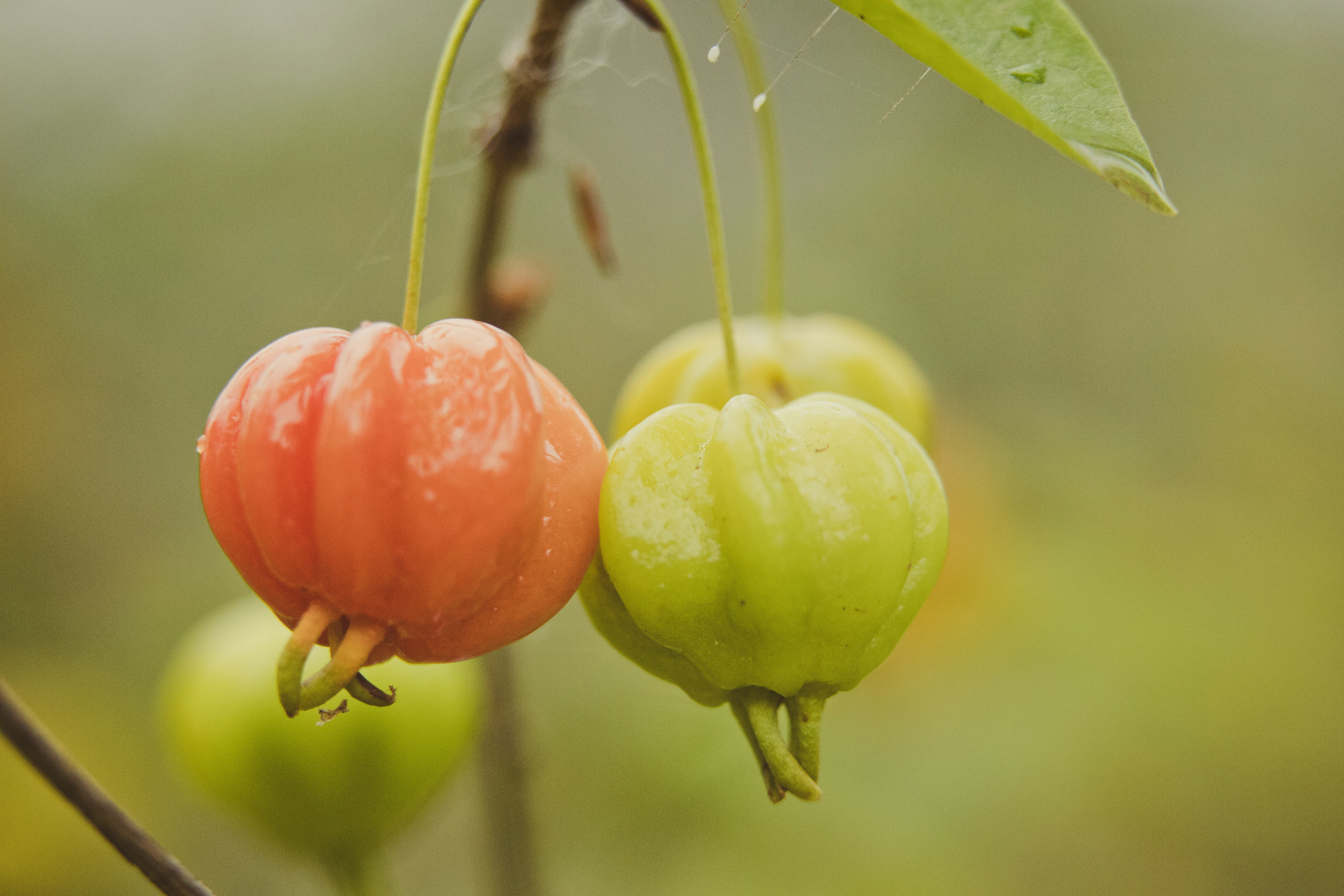 Photo by rrodriguesim