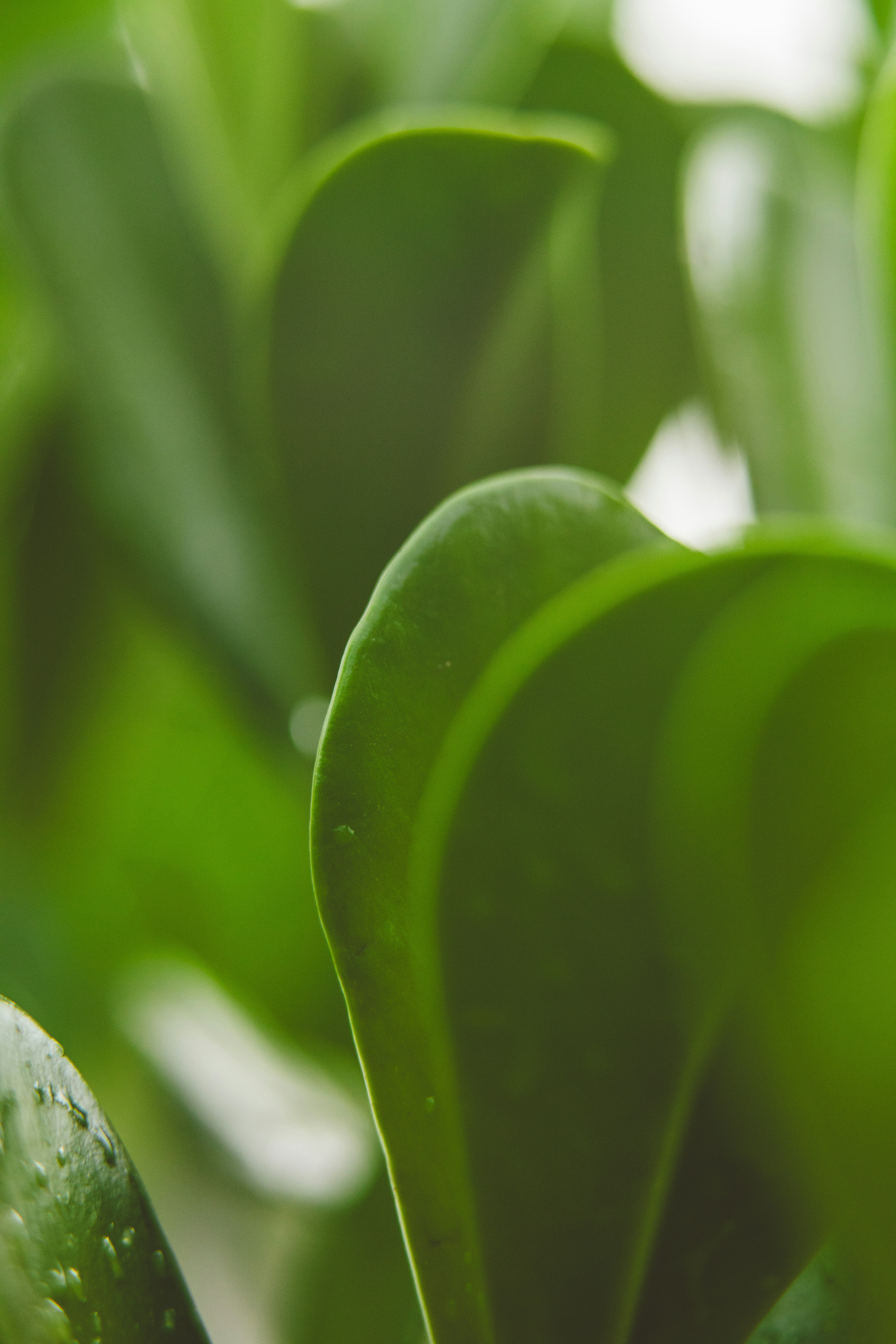 Photo by rrodriguesim