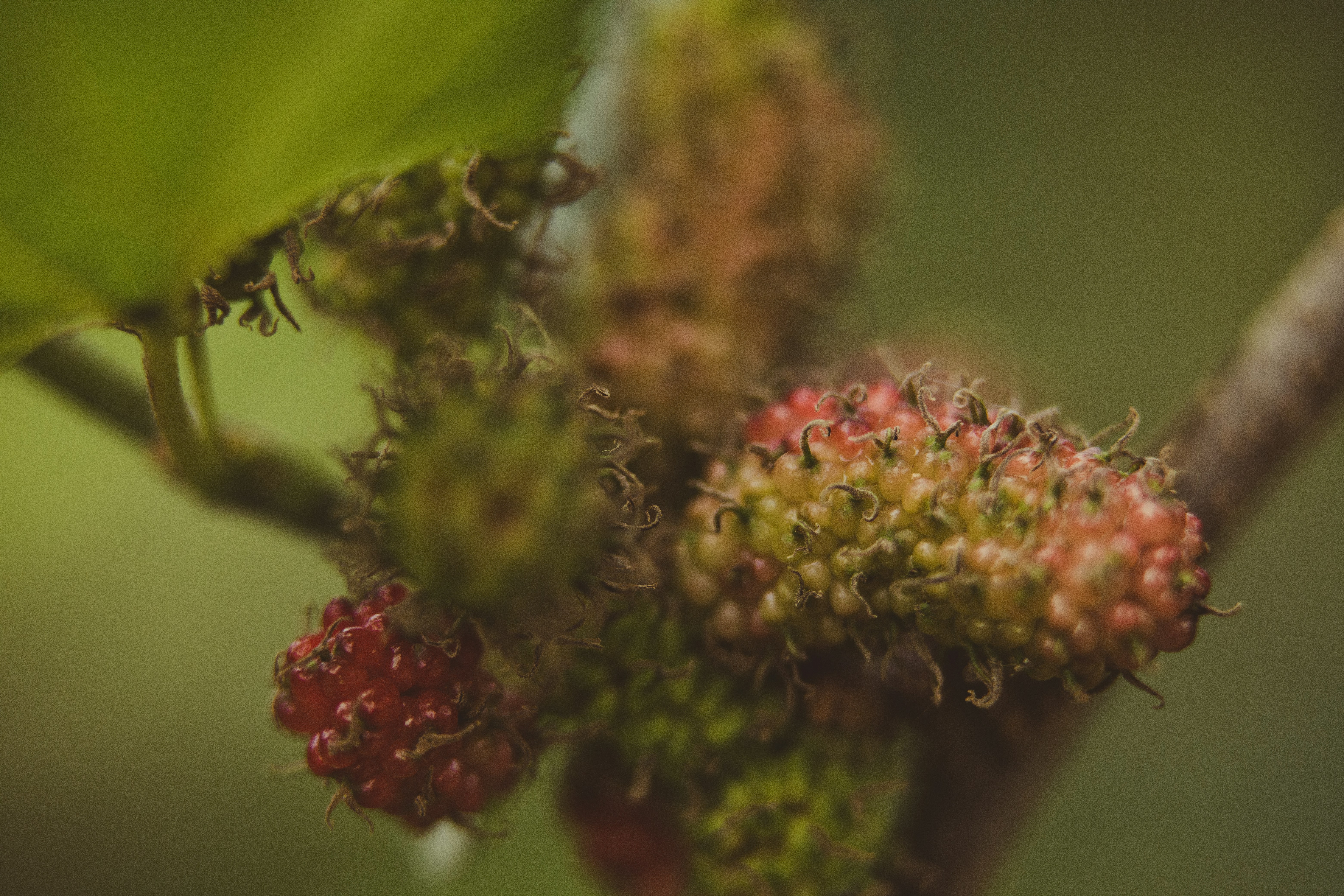 Photo by rrodriguesim