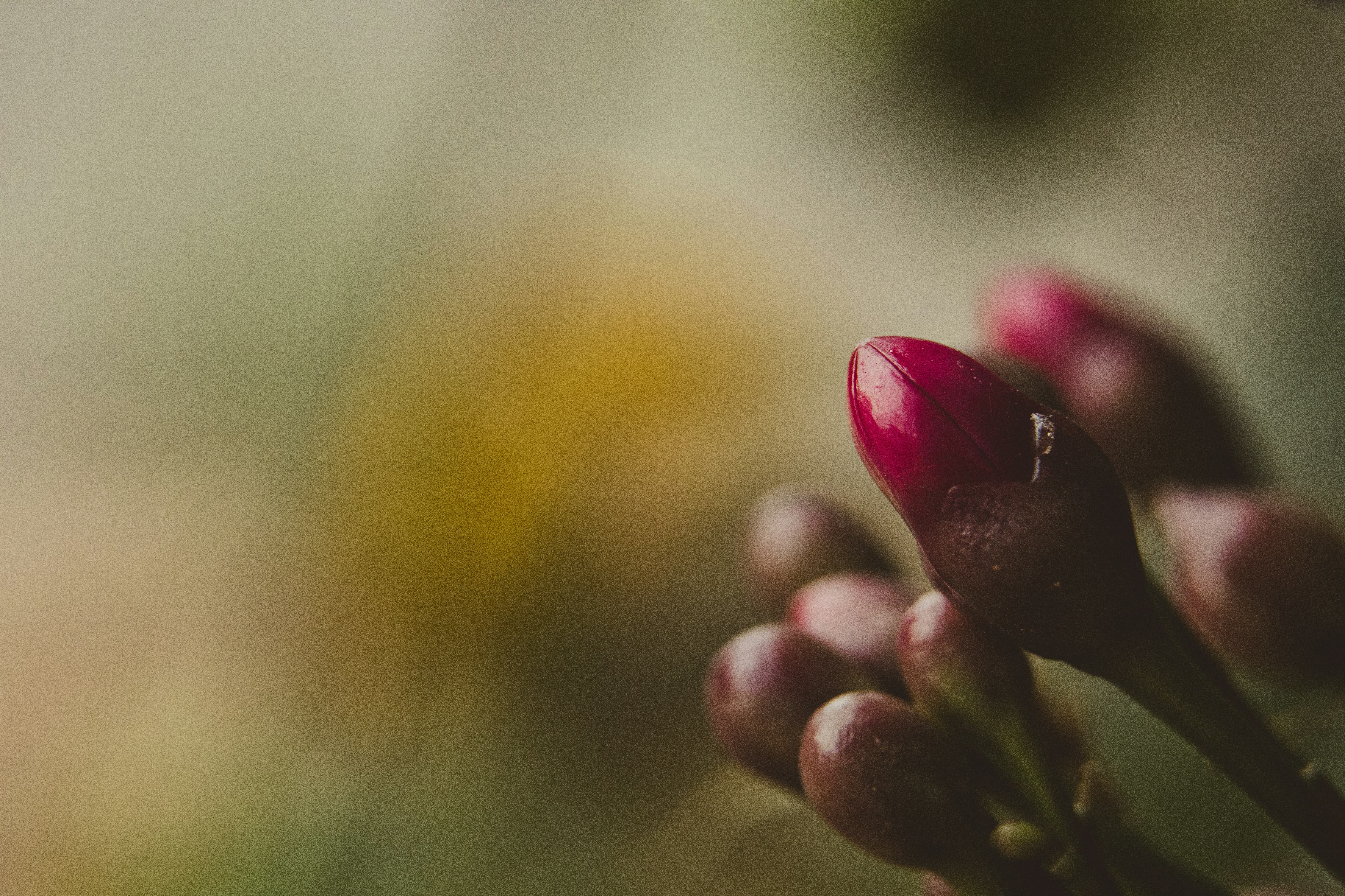 Photo by rrodriguesim