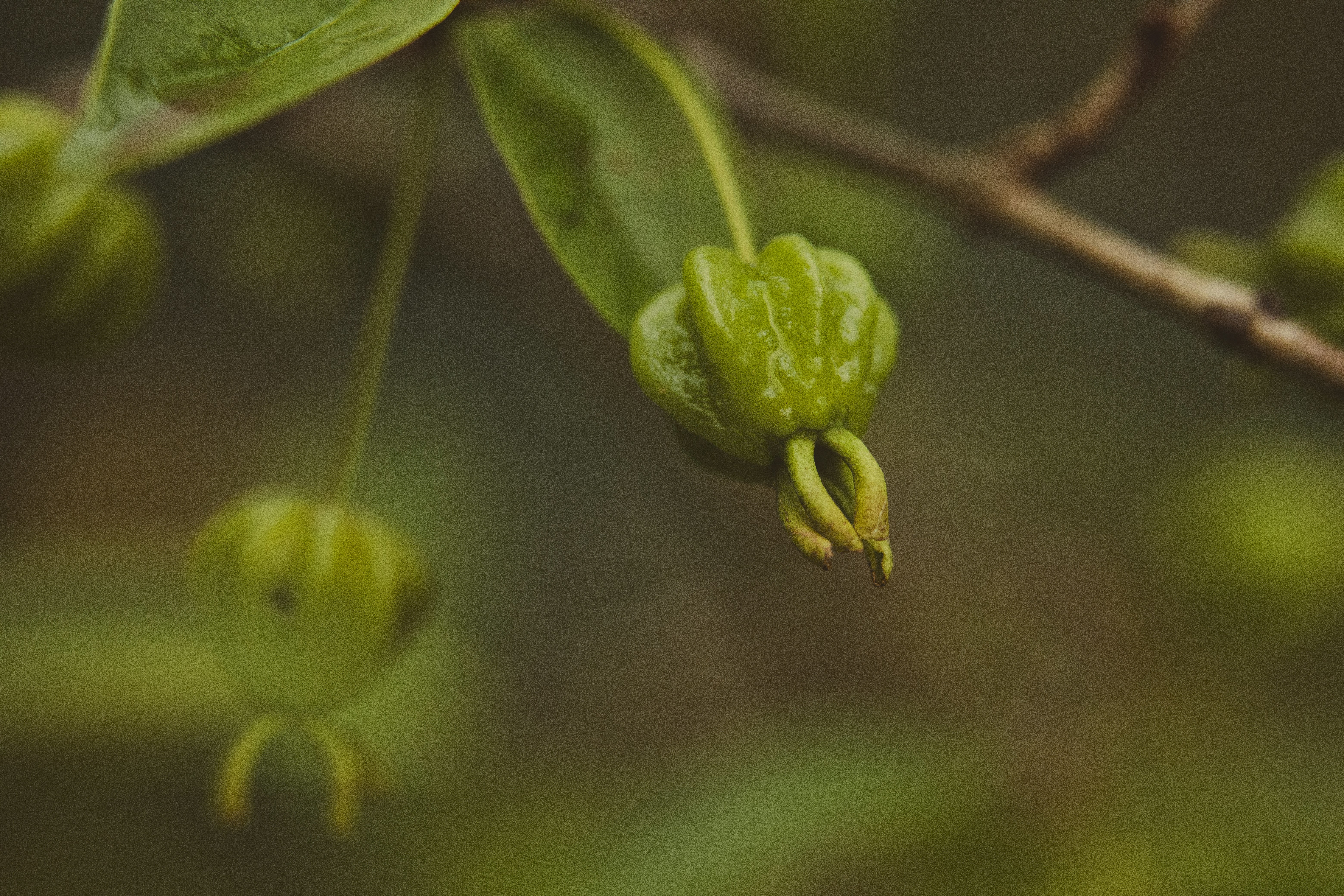 Photo by rrodriguesim