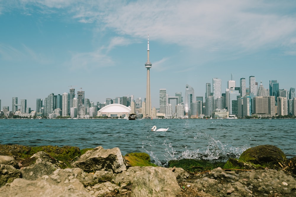 a large body of water with a city in the background