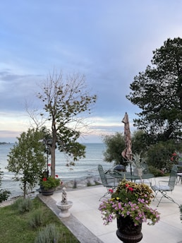 A serene lakeside garden with tall trees and a cozy outdoor cooking setup in Istanbul, Türkiye.