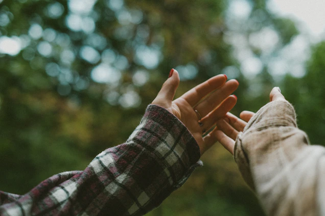 A close-up of hands shaking in a professional agreement with hints of green forest tone in the background.