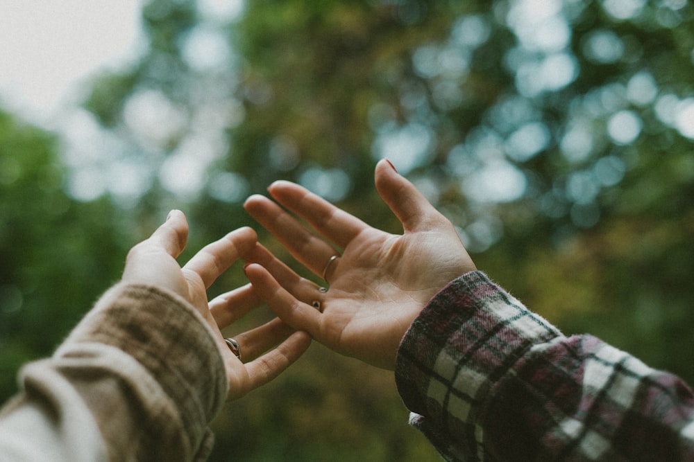 two people reaching out their hands to touch each other