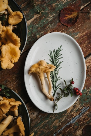 A rustic wooden table with an oval white plate decorated with a green botanical design. On the plate, there are yellow chanterelle mushrooms and a small branch with red berries. Additional mushrooms are placed in bowls nearby, and a single brown leaf lies on the table.
