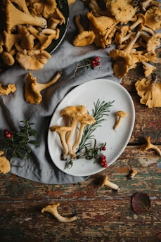 A rustic arrangement of freshly harvested chanterelle mushrooms scattered on a wooden table. Some mushrooms are placed on a white plate adorned with rosemary and small red berries. The scene includes a mix of earthy and natural elements with a textured cloth beneath them.