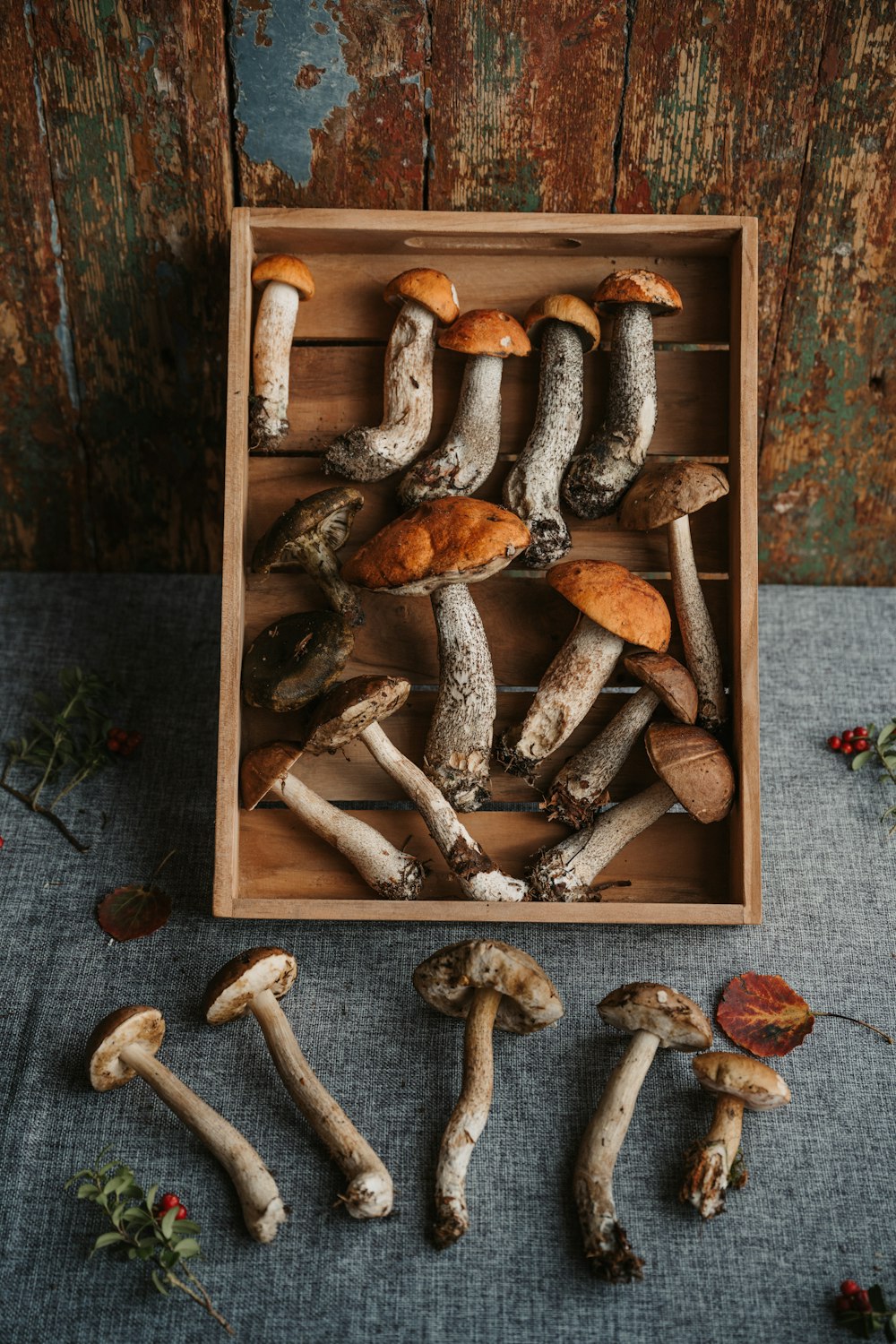 a wooden box filled with different types of mushrooms