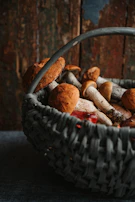A rustic wooden basket filled with colorful forest farm produce on a mossy log.