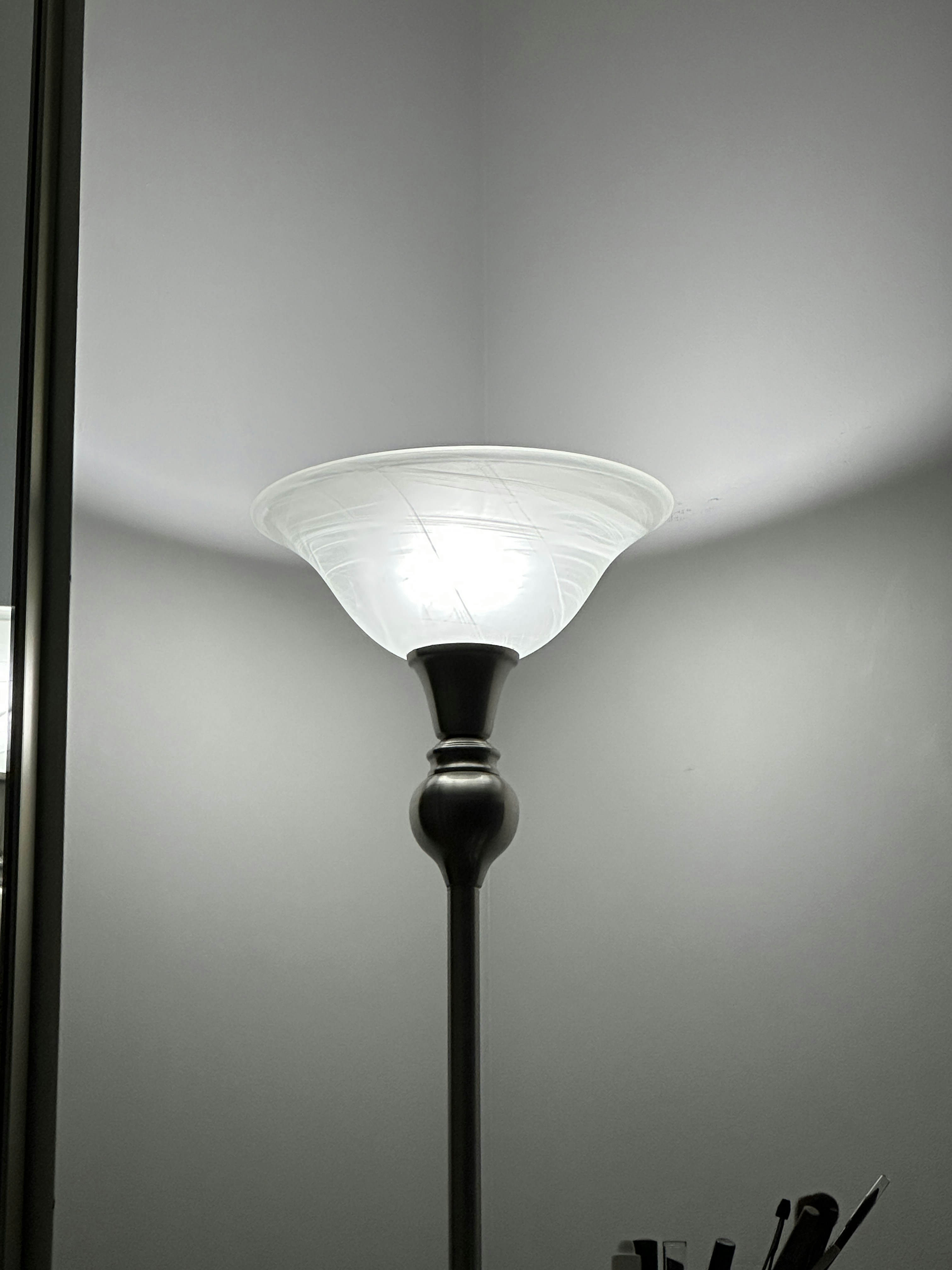 Elegant LED Floor Lamp