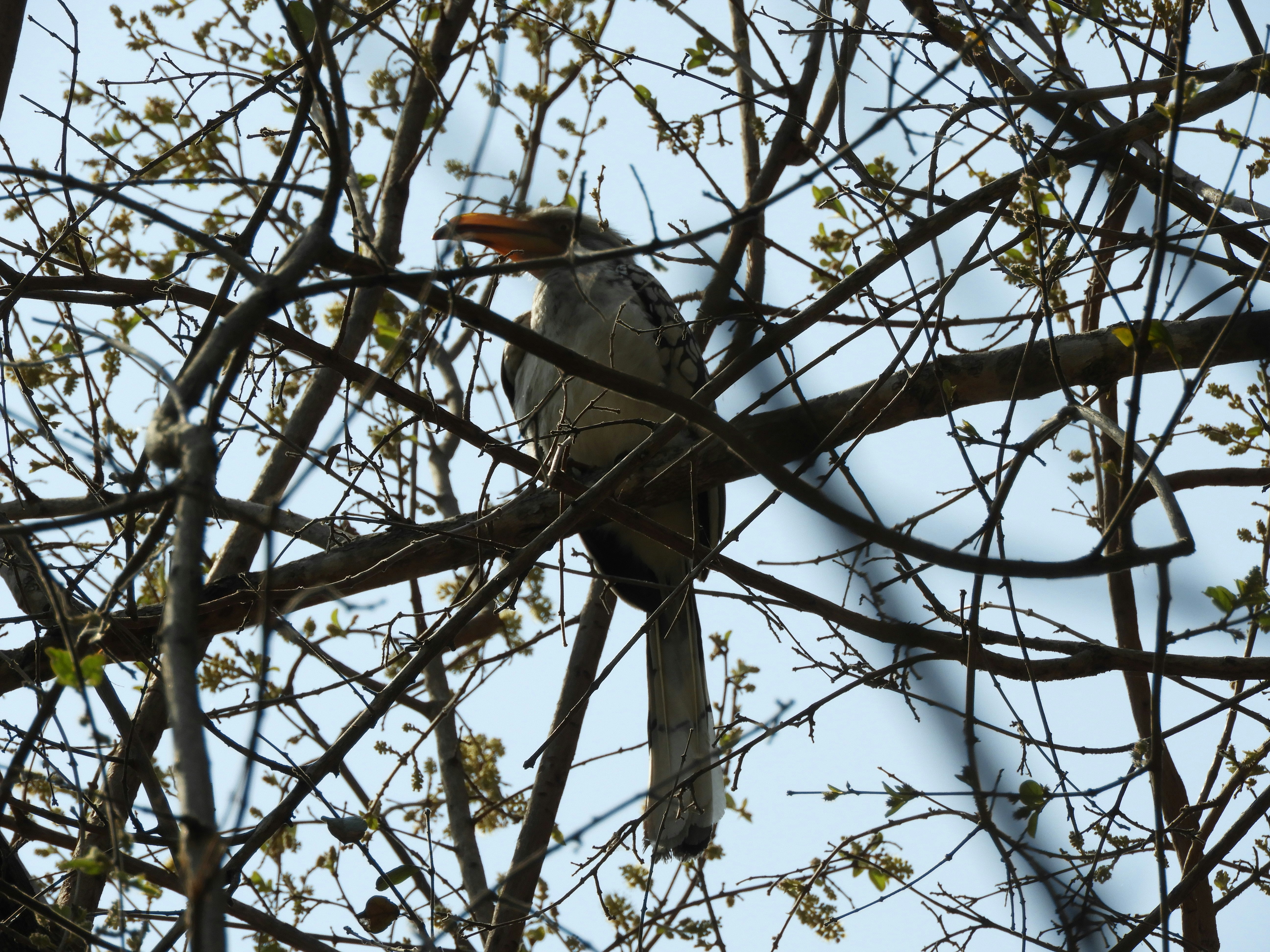 Photo by lyssa_elliott