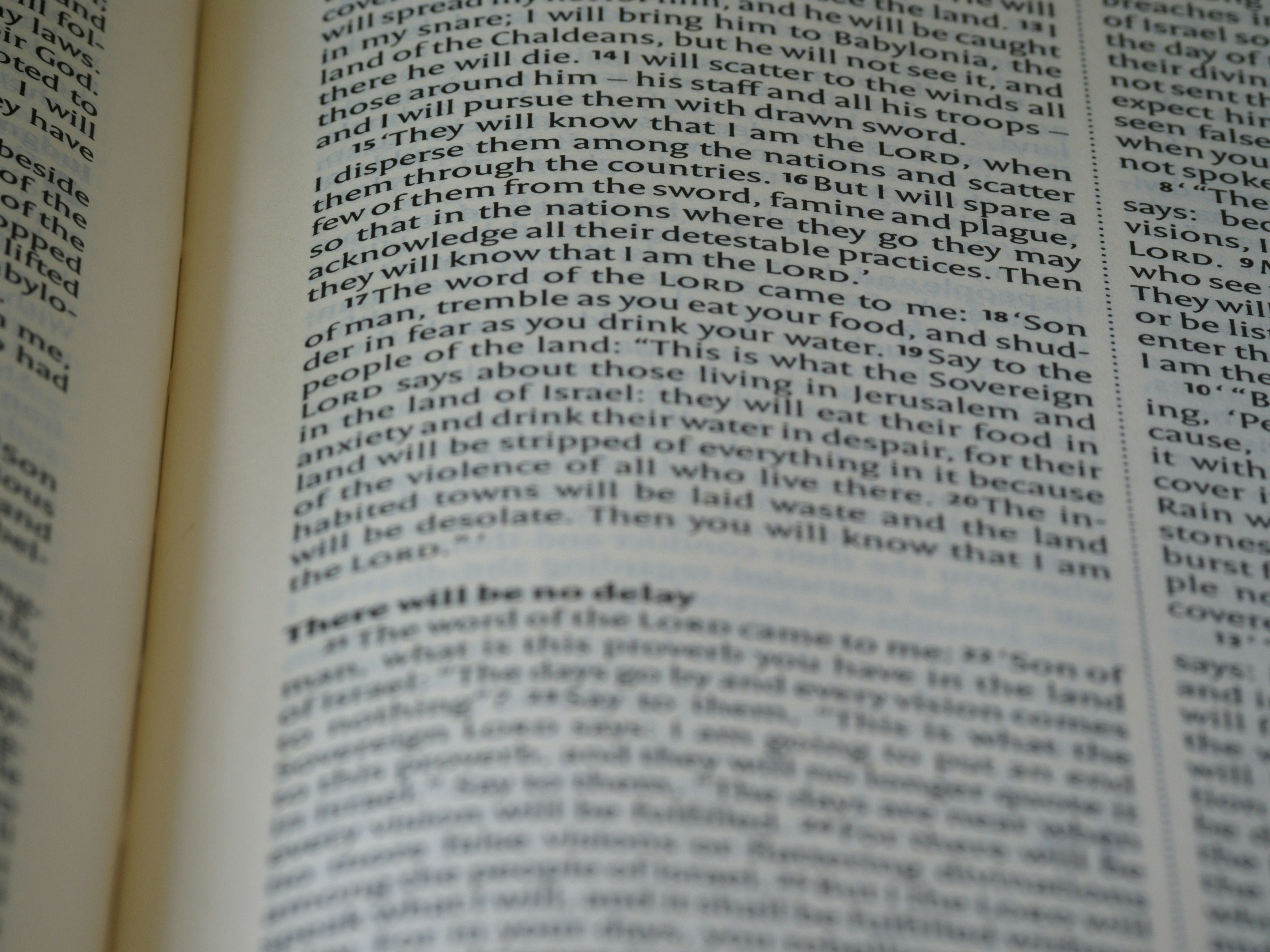 Photo by brett_jordan