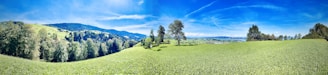 A panoramic view of lush green hills in the divine landscape.