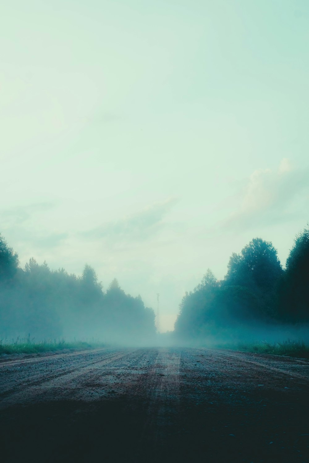 a foggy road with trees in the distance
