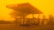 A gas station with the logo 'IndianOil' appears amid an intense yellow-orange haze, likely caused by a sandstorm or heavy pollution. The sky and surroundings are enveloped in this thick hue, significantly reducing visibility. The gas pumps are visible under the shelter, and there's a building in the background with a solar panel on its roof.