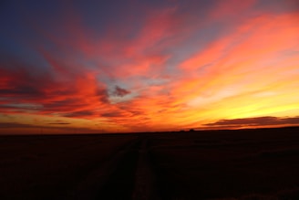 a sunset over a field with a dirt road
