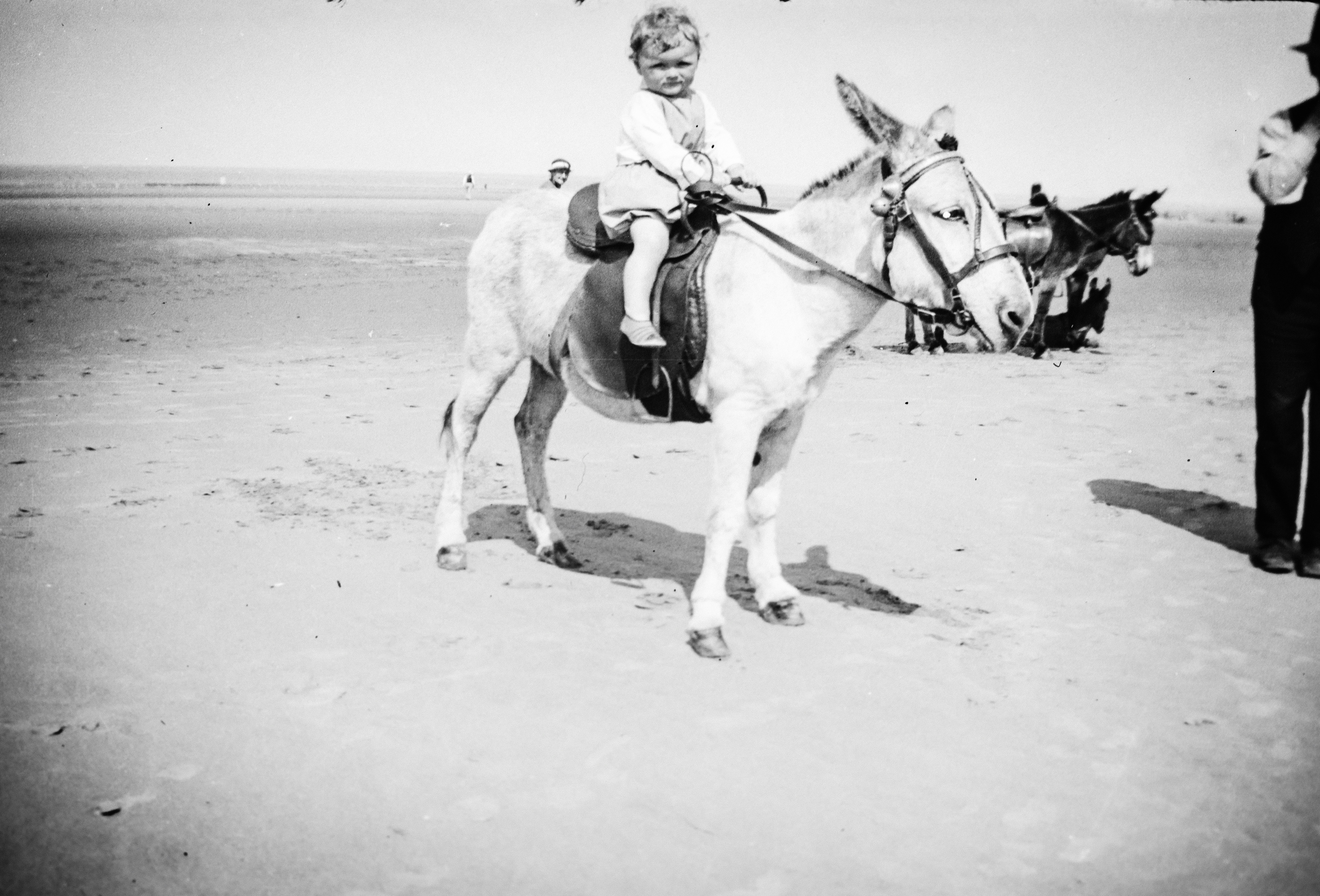 a woman is riding a horse on the beach