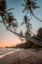 An expat enjoying a sunset on a beach in Panama.