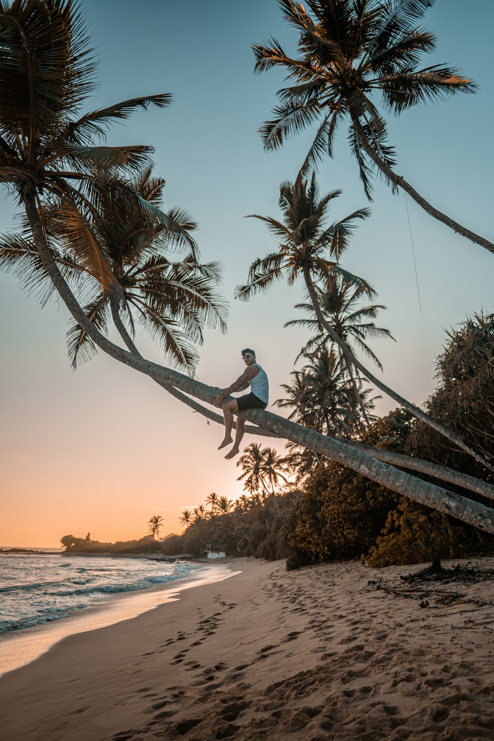 a man sitting on a palm tree on the beach