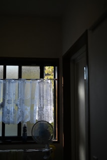 A technician carefully spraying insecticide inside a cozy living room.