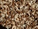 A close-up view of a mixture of various nuts including almonds, cashews, and walnuts. The nuts are spread out, showcasing their natural textures and colors, with a mix of light and dark browns and creamy whites.