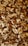 A close-up view of a variety of mixed nuts, including almonds, cashews, walnuts, and Brazil nuts. The assortment shows an appealing mixture of shapes, sizes, and textures, highlighting their natural tones and slightly oily surfaces.