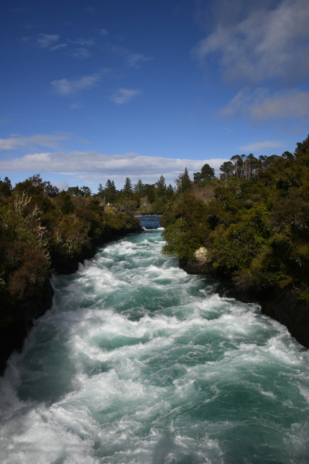 a river running through a lush green forest