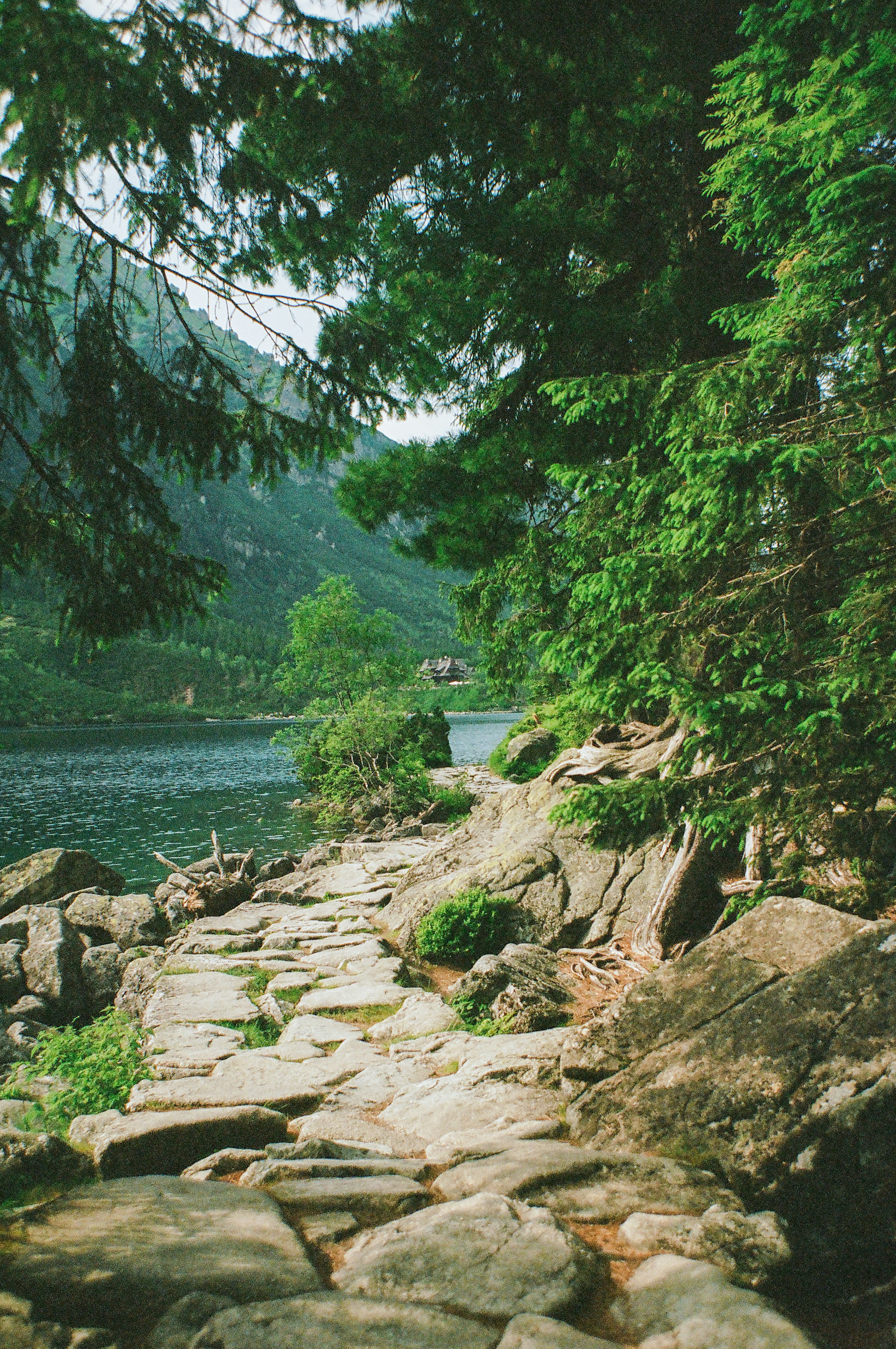 Photo by margarita_ua