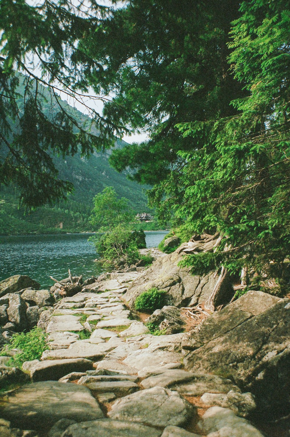 a stone path that is next to a body of water