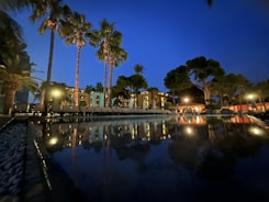 Nighttime shot of the pool with reflections of palm trees and soft green accent lights.