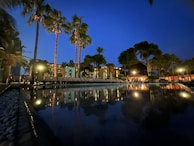 Nighttime shot of the pool with reflections of palm trees and soft green accent lights.