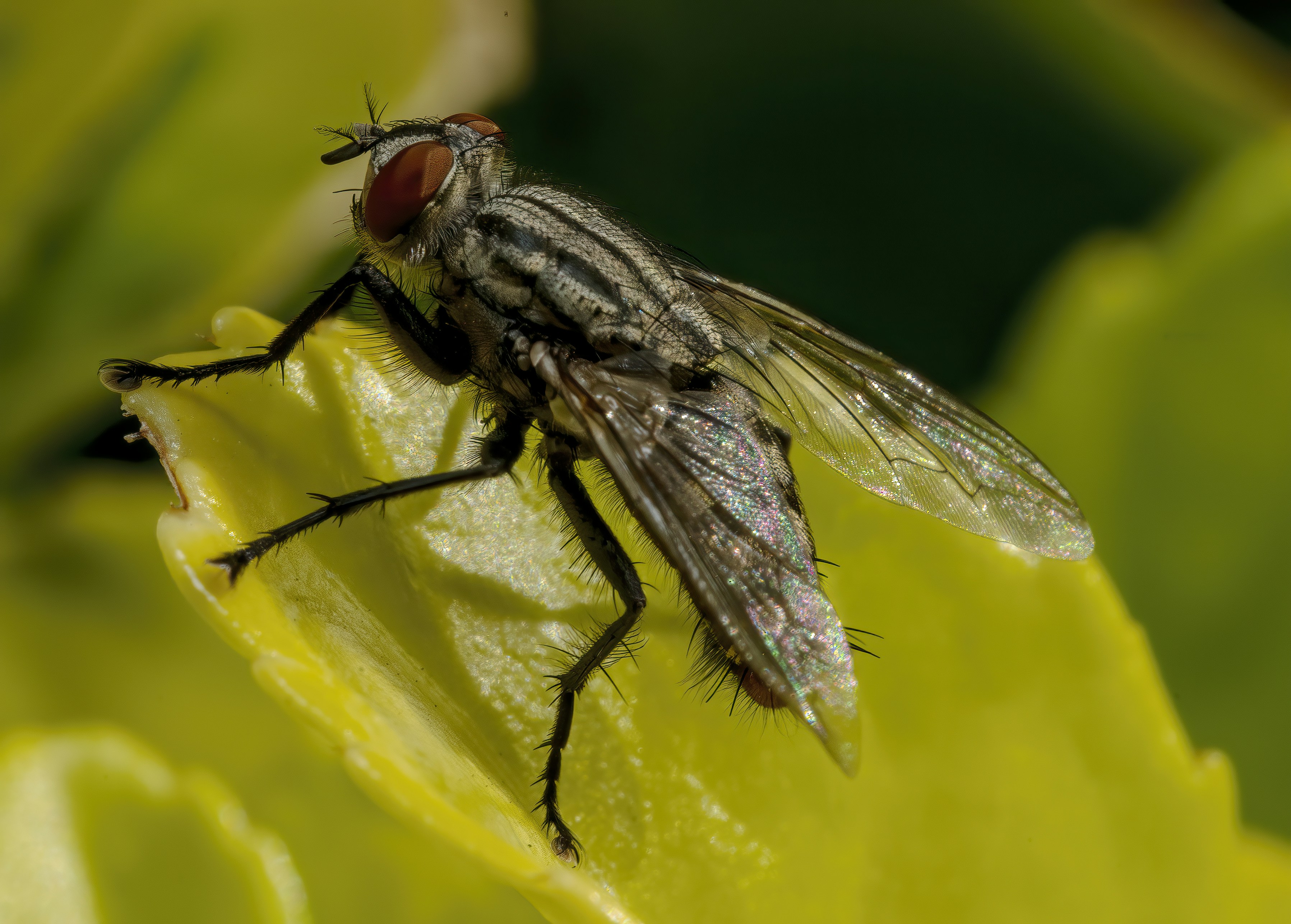 Photo by akbarnemati