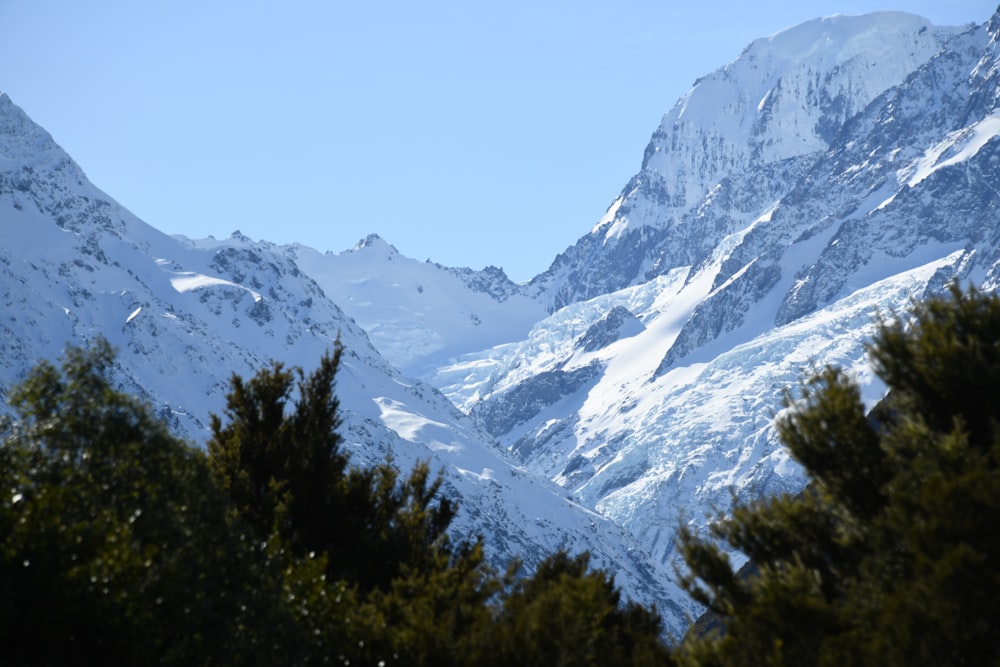 a snow covered mountain with trees in the foreground