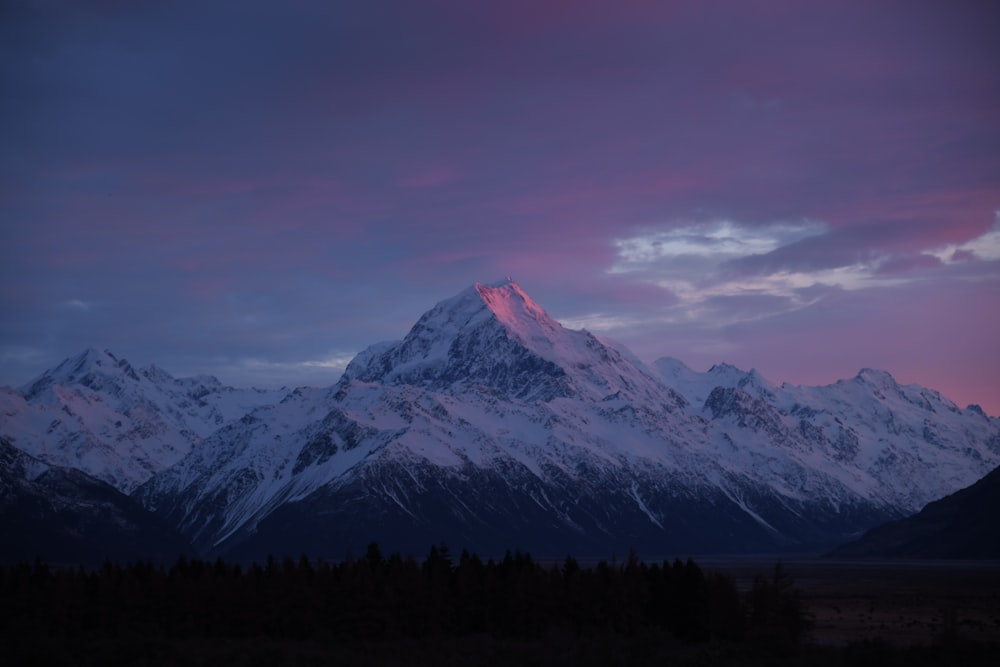 Une montagne enneigée avec des arbres au premier plan