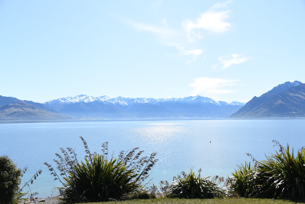 a large body of water surrounded by mountains