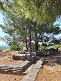 A serene view of the Cave of the Patriarchs surrounded by ancient trees.