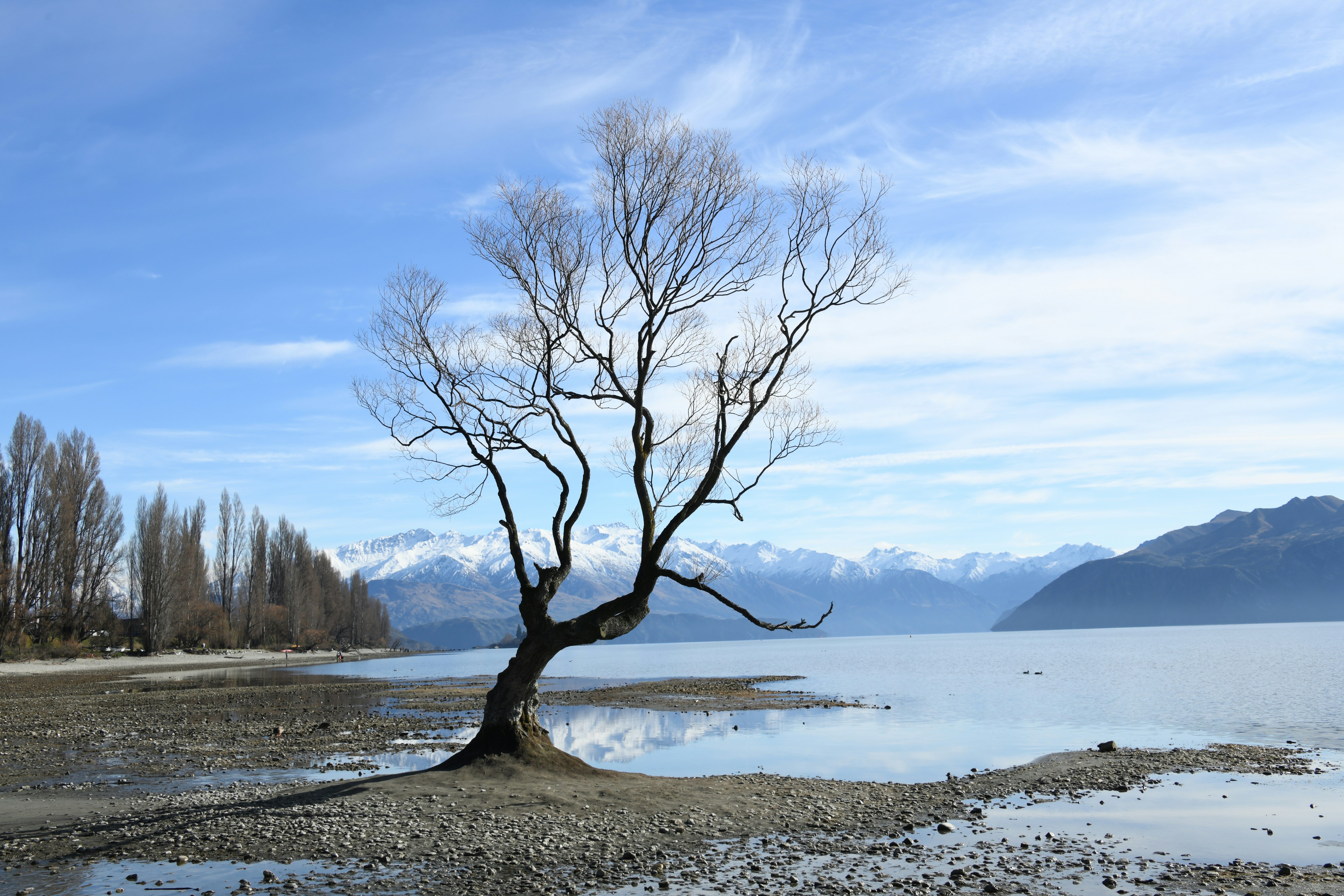 Photo by richard7seals