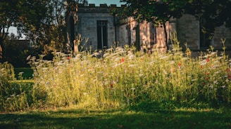 The iconic Luther Burbank Home & Gardens bathed in warm afternoon light.