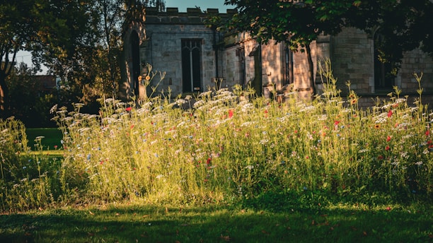 The iconic Luther Burbank Home & Gardens bathed in warm afternoon light.