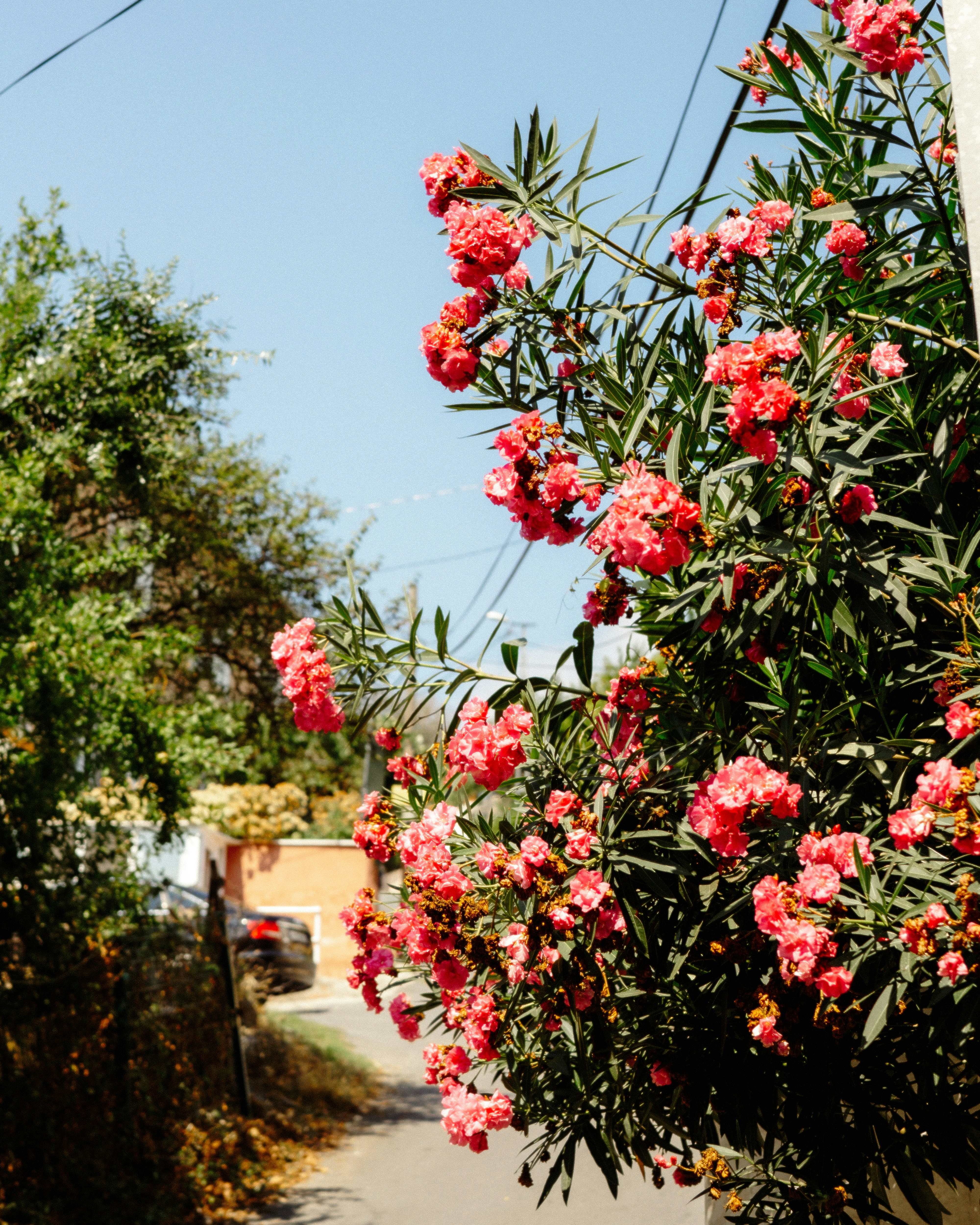 Photo by galleryofmyeye