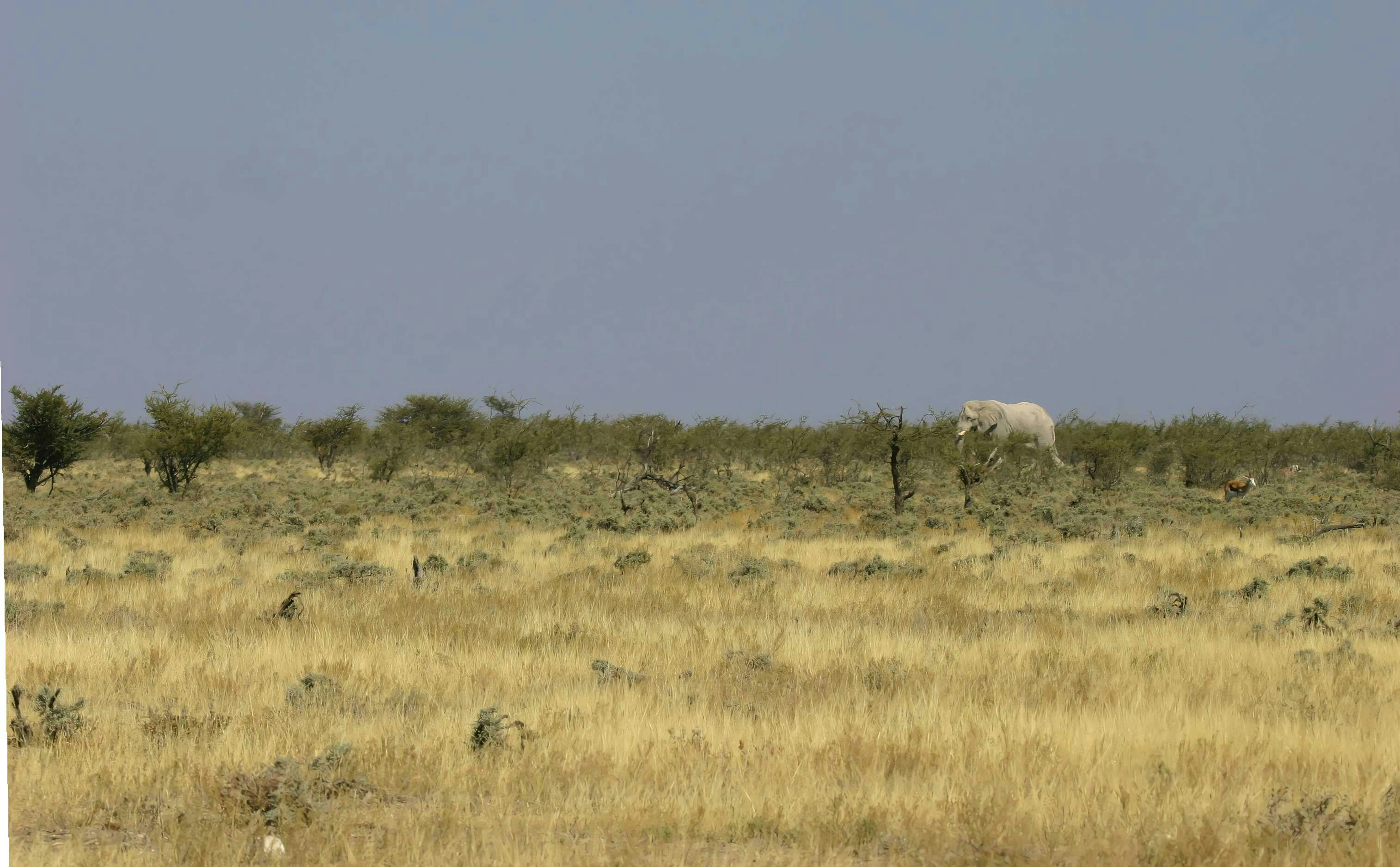 Photo by mitchbwilder