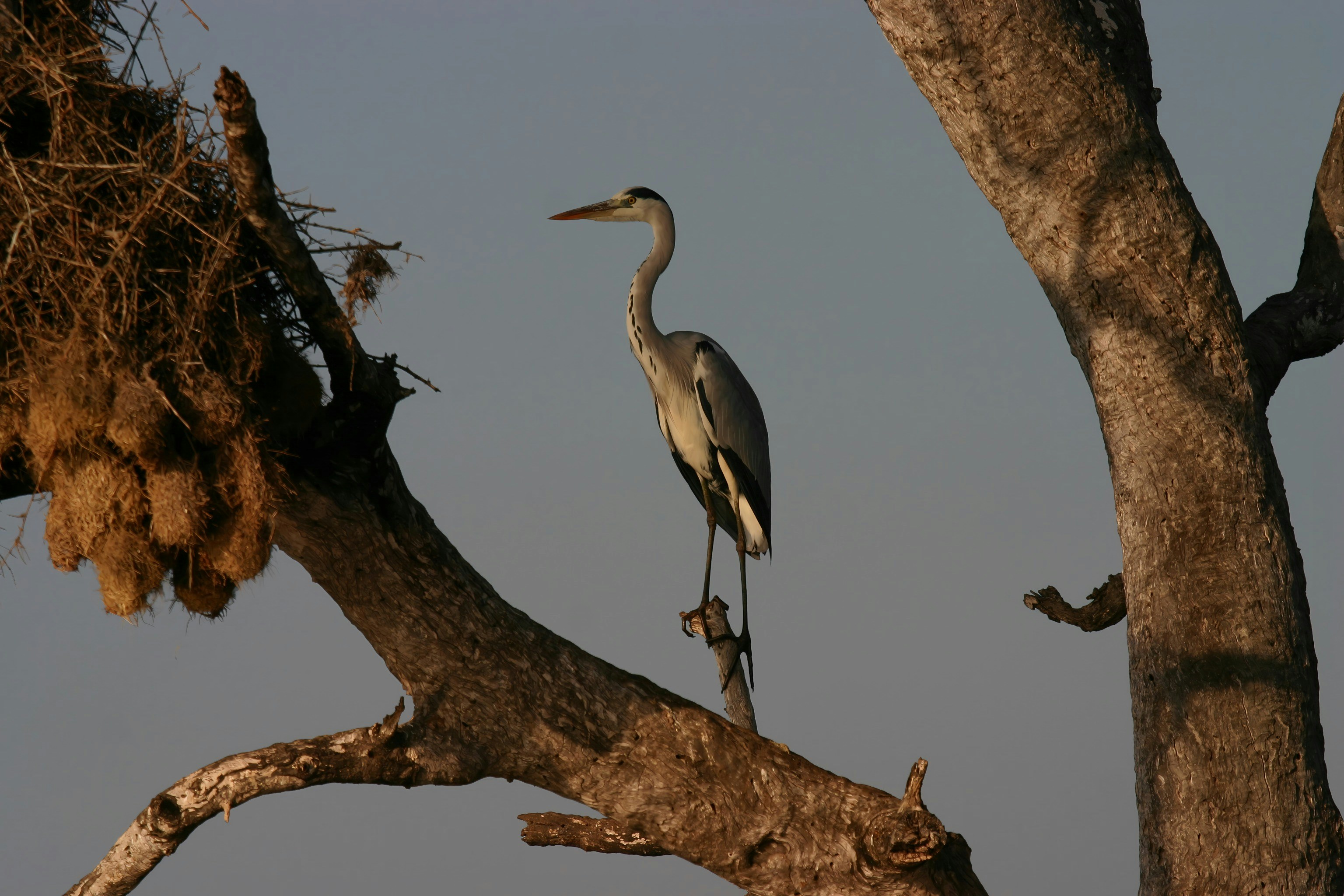 Photo by mitchbwilder