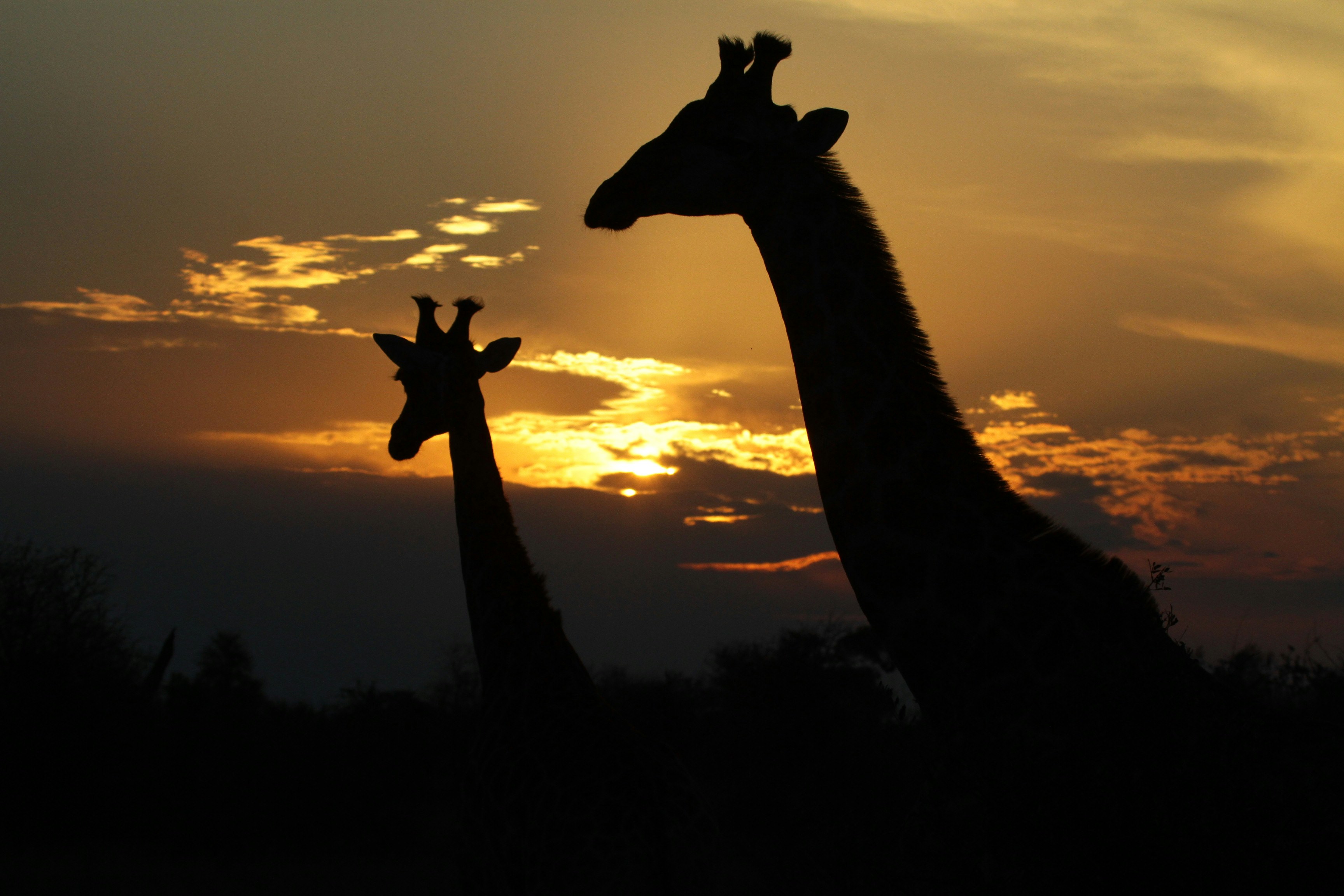 Photo by mitchbwilder